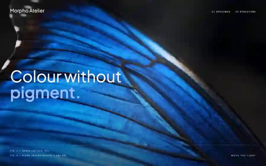 Morpho Designstudie – Editorial, typografisch und präzise